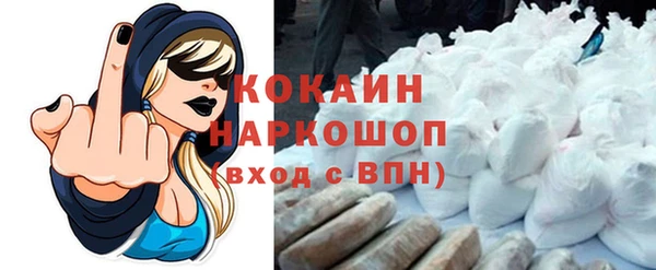 хмурый Инсар