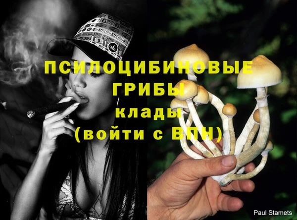 герыч Инта