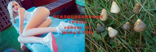 хмурый Инсар