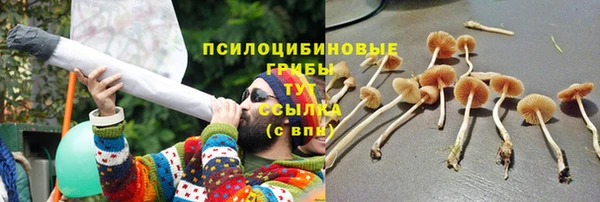 круглые Иннополис