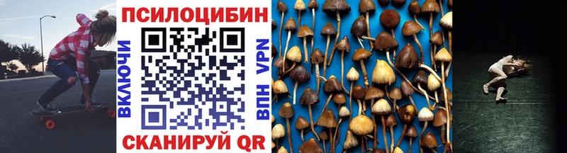 Купить где  Ханты-Мансийск  Псилоцибиновые грибы Psilocybe 